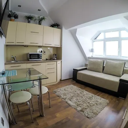 Apartameny Tadeusz 406 Krynica-Zdrój Habitación foto